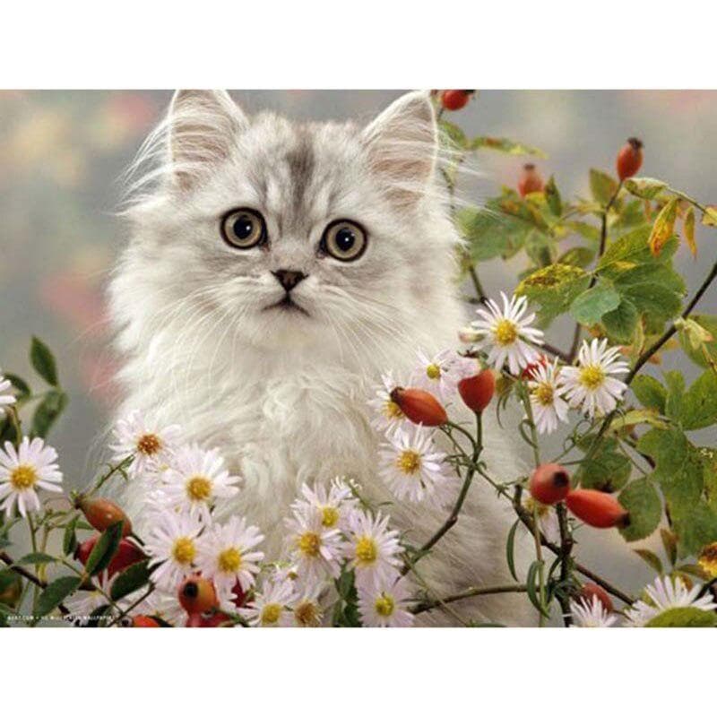 Diamond Painting White Kittens Cross Stitch Rhinestone Embroidery Home Decor Gift Daisy Flower 20X30CM