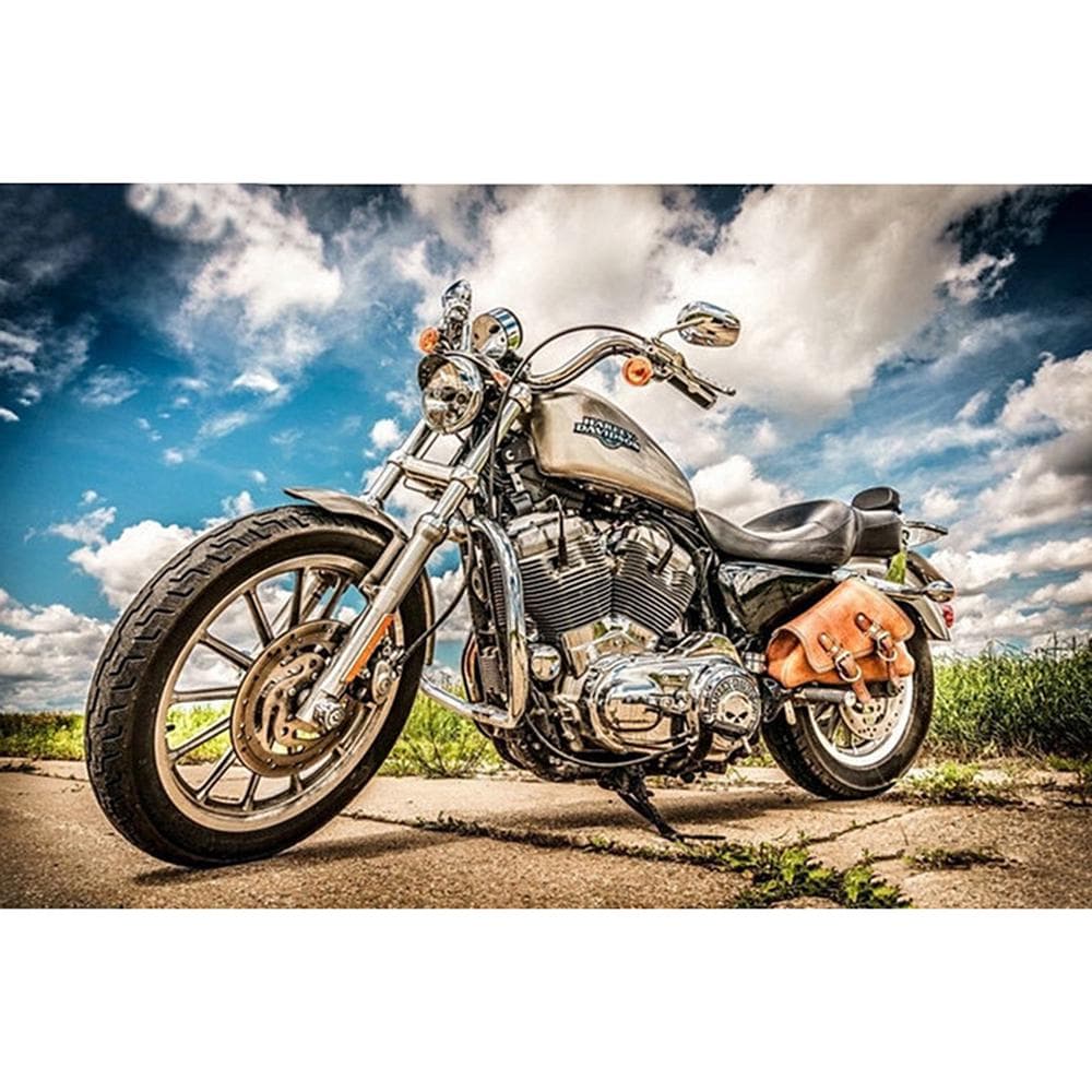 5D DIY Diamond Painting Motorcycle 3D Embroidery Cross Stitch 5D Decor Gif 20X30CM