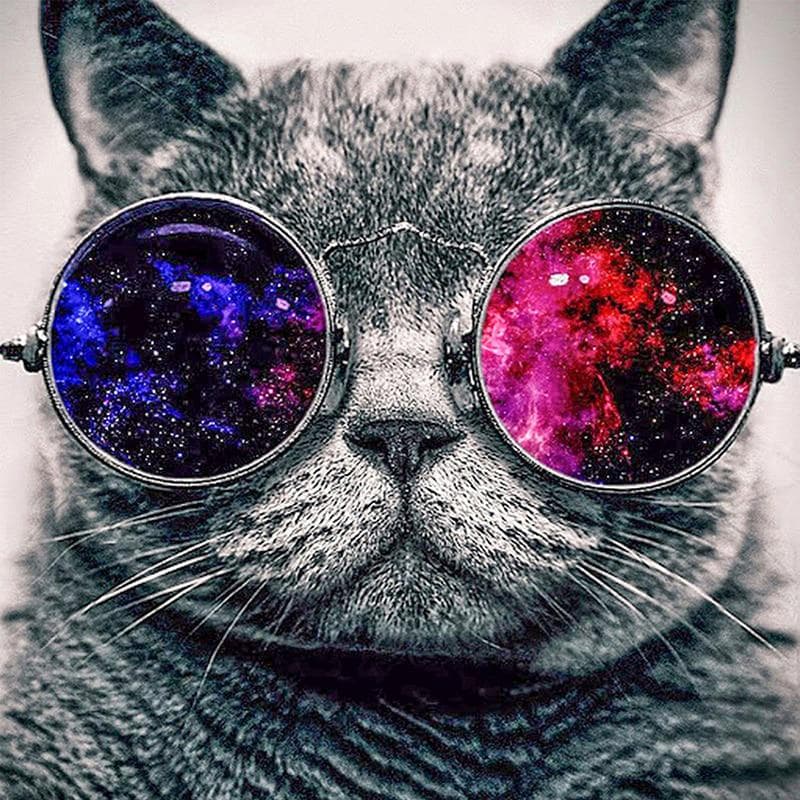 Diamond Painting Mosaic Embroidery Rhinestones Round Diamond Cross Stitch craft Cool Cat In Sunglass 30x30CM