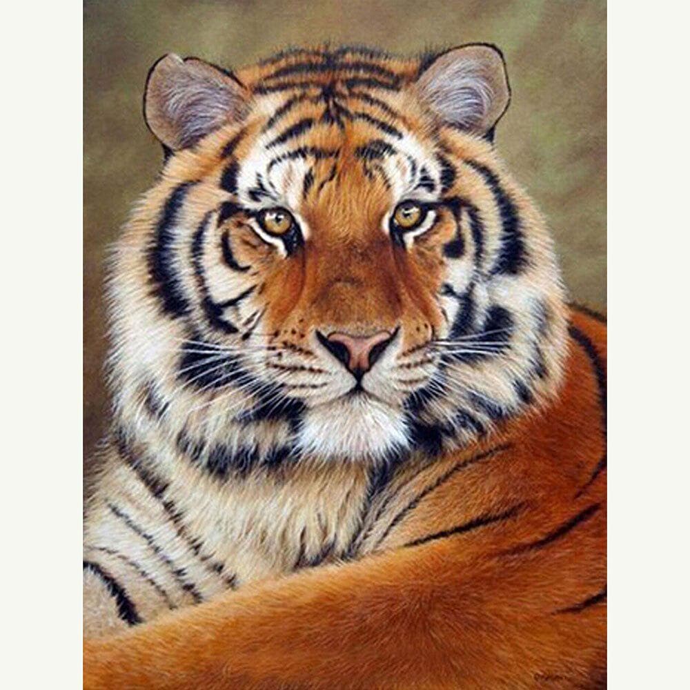 Diamond Embroidery 5D Diamond Painting Tiger Diamond Mosaic Animals Cross Stitch Decor 20X30CM