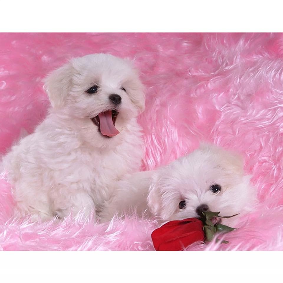 Embroidery 5D Diamond Cross Stitch Animal Dog Lovely Painting Home Decoration Full Drill Picture 20X30CM