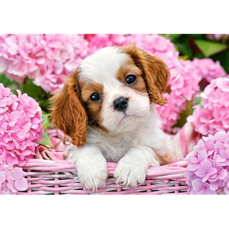 Home Decoration DIY 5D Diamond Embroidery Cute Dog In Flower Basket Full Diamond Cross Stitch 20X30CM