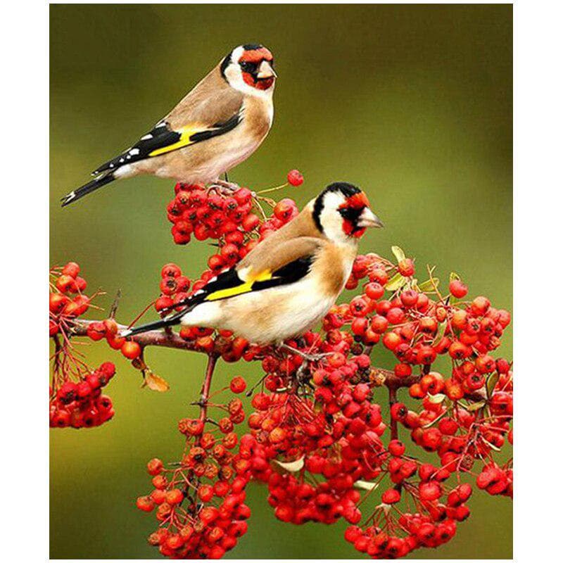 DIY 5D Diamond Painting Diamond Diamond Embroidery Flowers Cross Stitch 20X30CM
