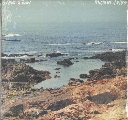 12inch Record STEVE GUNN - Ancient Jules OLE11121 Matador 2016 US Rock