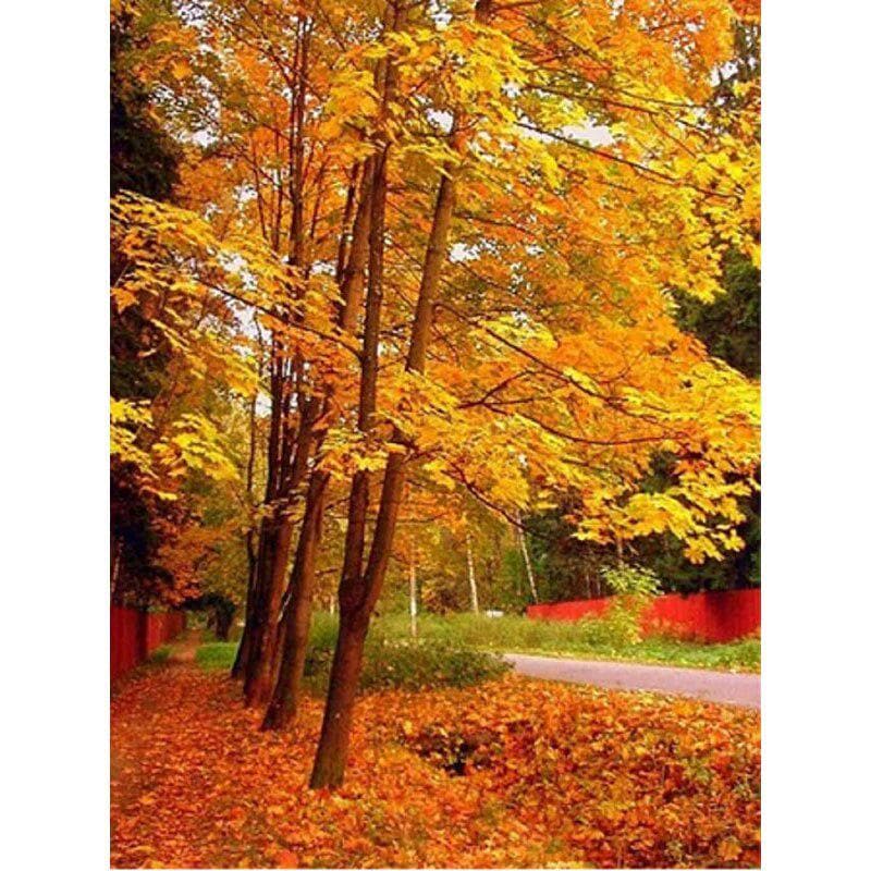 5D Diamond Painting Tree Diamond Embroidery Autumn Scenery Cross Stitch 20X30CM