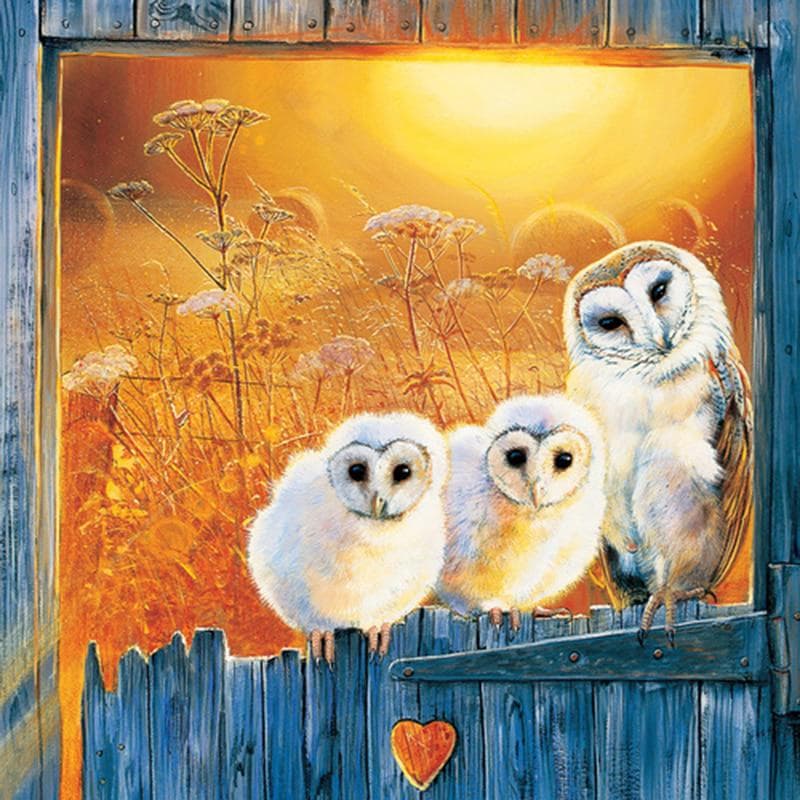 Diamond Painting Cross Stitch Diamond Embroidery Home Decoration Diamond Mosaic White Owl & Sunset 30x30CM