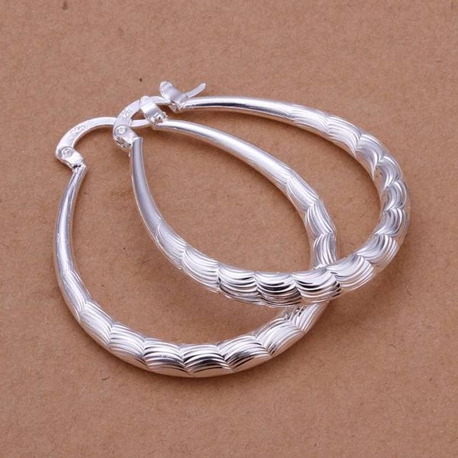 fashion For women wedding hook beautiful High quality Earring Jewelry free shipping cute gift silver
