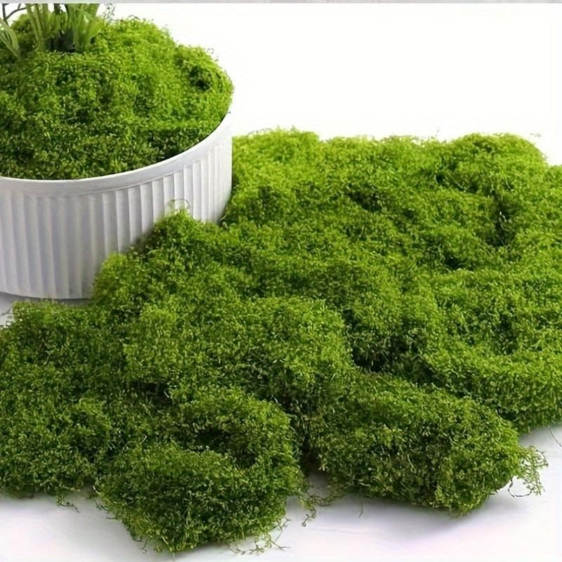 100G Realistic Artificial Moss For Diy Crafts & Home Decor - Everlasting Green Plant Accent, Perfect For Indoor Landscapes & Wedding Decorations green