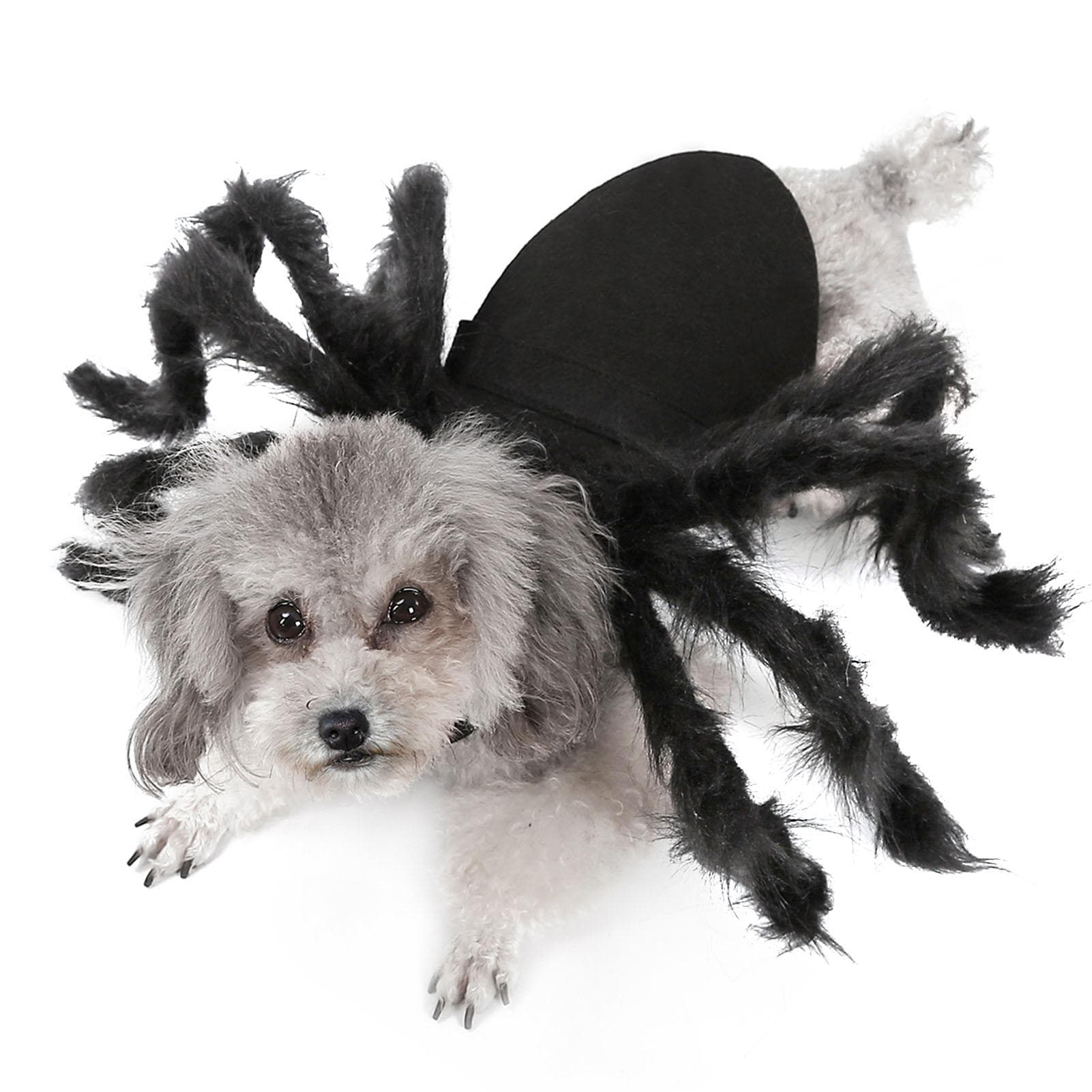 Halloween Dogs Cats Spider Costume Pet Party Outfits for Small Dogs Cats Medium black