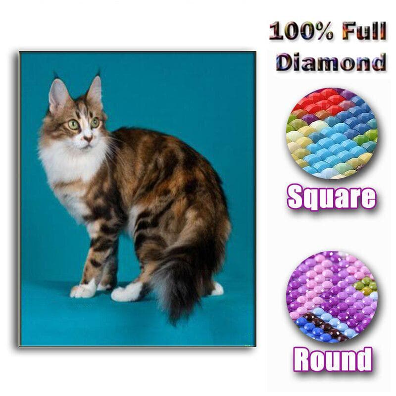 Christmas Gifts for Home Decoration 5D DIY Diamond Painting Cat Full Diamond Diamond Embroidery 20X30CM
