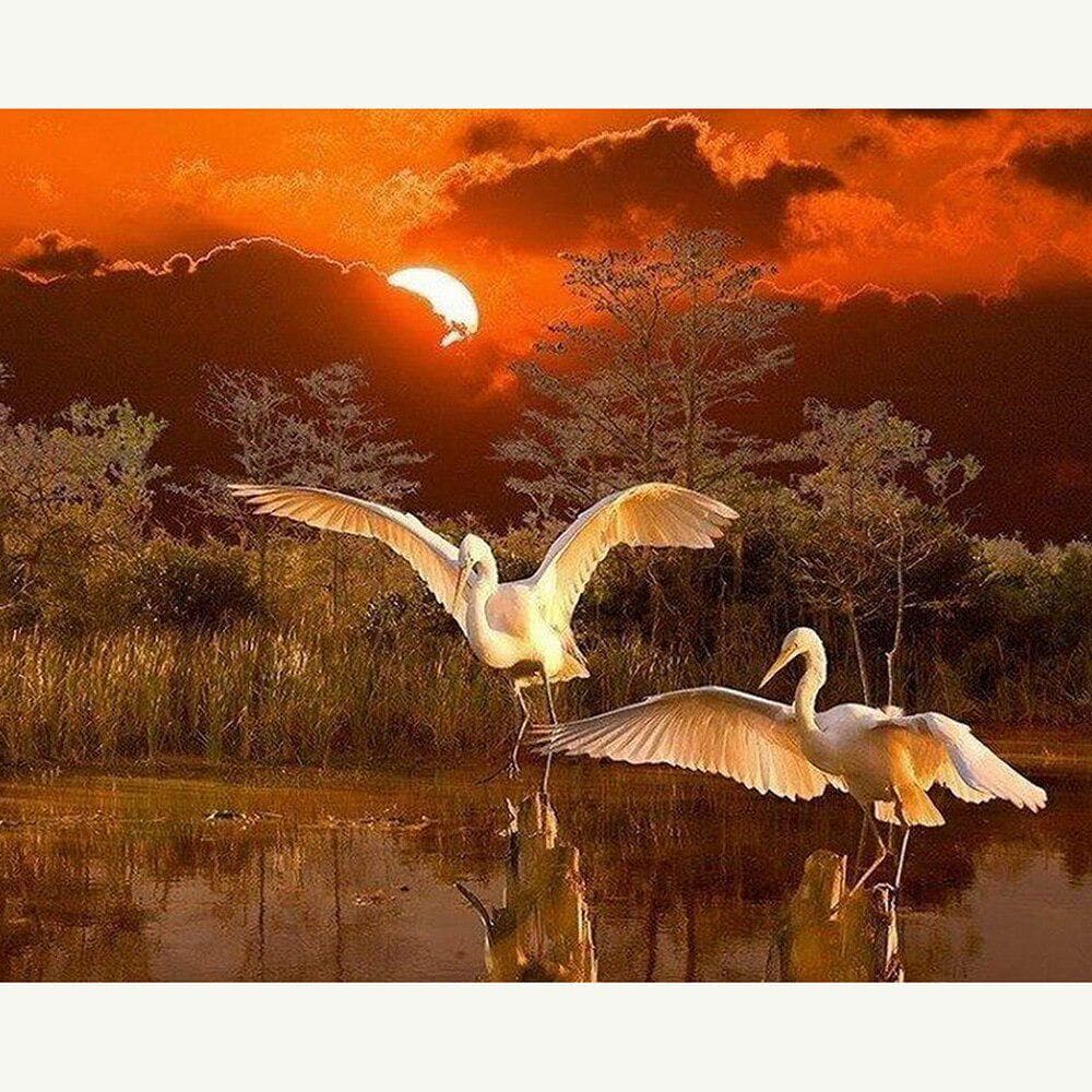 5D DIY Full round Diamond Painting Red-crowned crane Embroidery Cross Stitch 20X30CM