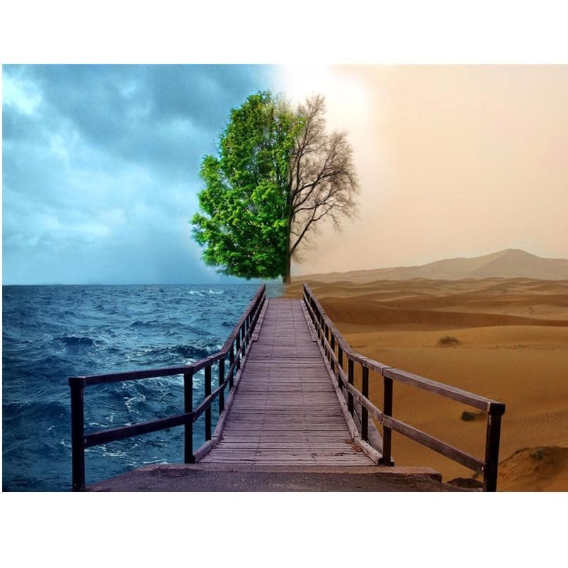 5D DIY Diamond Painting Four Seasons Tree Cross Stitch Full Round Diamond Painting 20X30CM