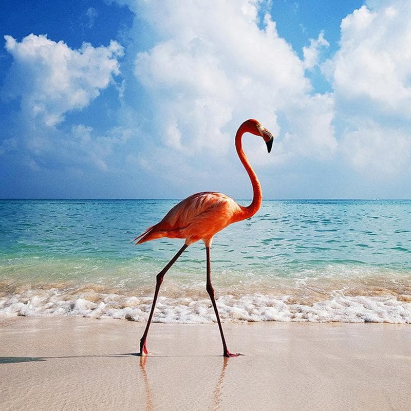Diamond Painting Cross Stitch White Pink Flamingo on Beach Needlework Embroidery Diamond Decorative 30x30CM
