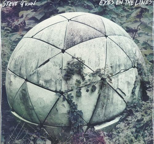 LP Record STEVE GUNN - Eyes On The Lines OLE10901 Matador 2016 US Rock