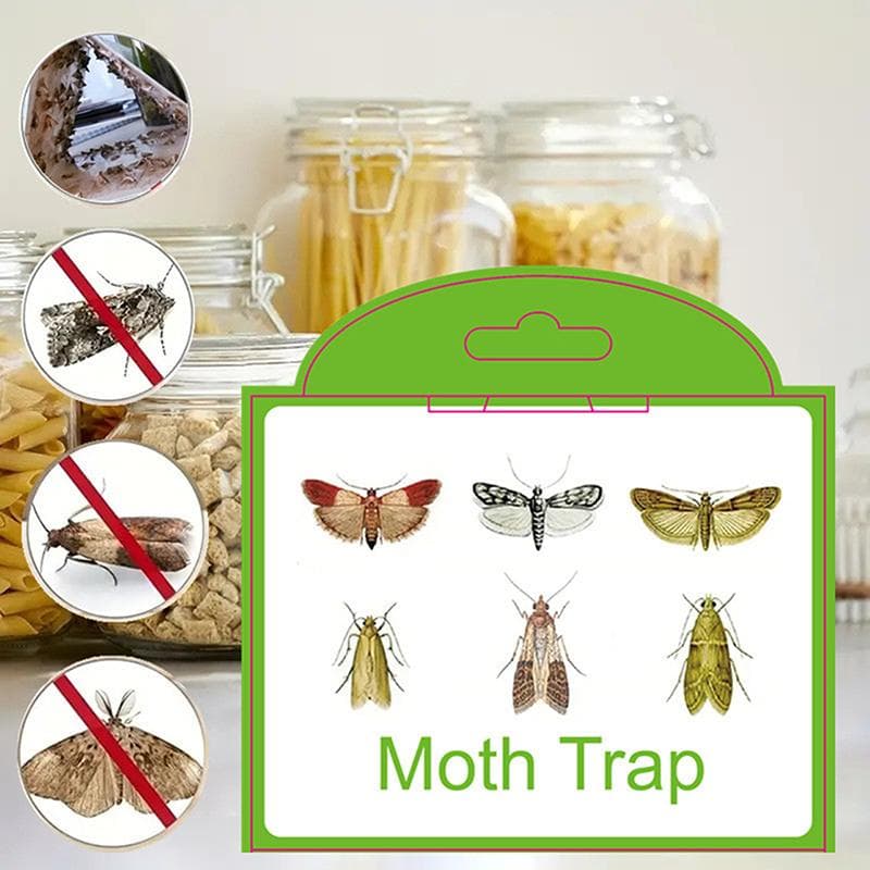 Home Kitchen And Clothing Adhesive Pantry Moth Traps With Pheromones Prime Clothes Closet Moth Traps Magic Moth Catcher