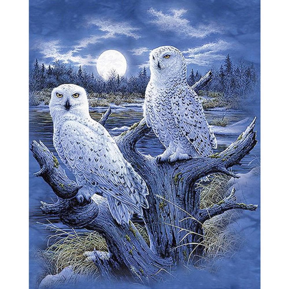 Diy 5D Diamond Painting Winter OWLs Diamond Paintings Diamond Embroidery Animals Home Decor 20X30CM