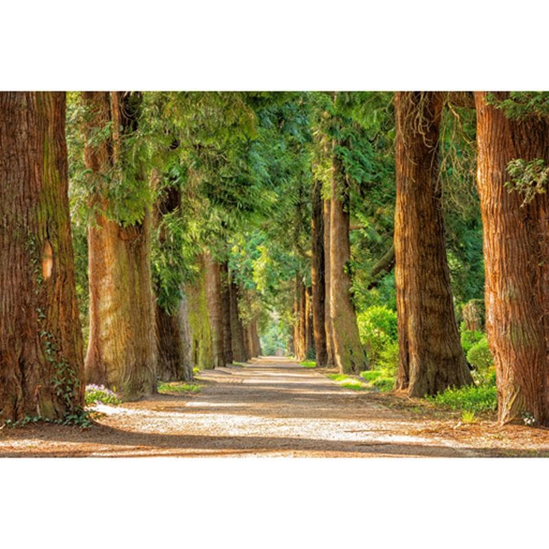 DIY Diamond Embroidery Forest Sunshine Scenery Cross Stitch Diamond Painting 20X30CM