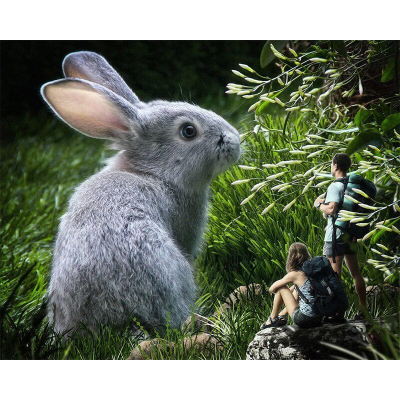 5D DIY Full Round Diamond Painting Animal Rabbit Diamond Embroidery Cross Stitch 20X30CM