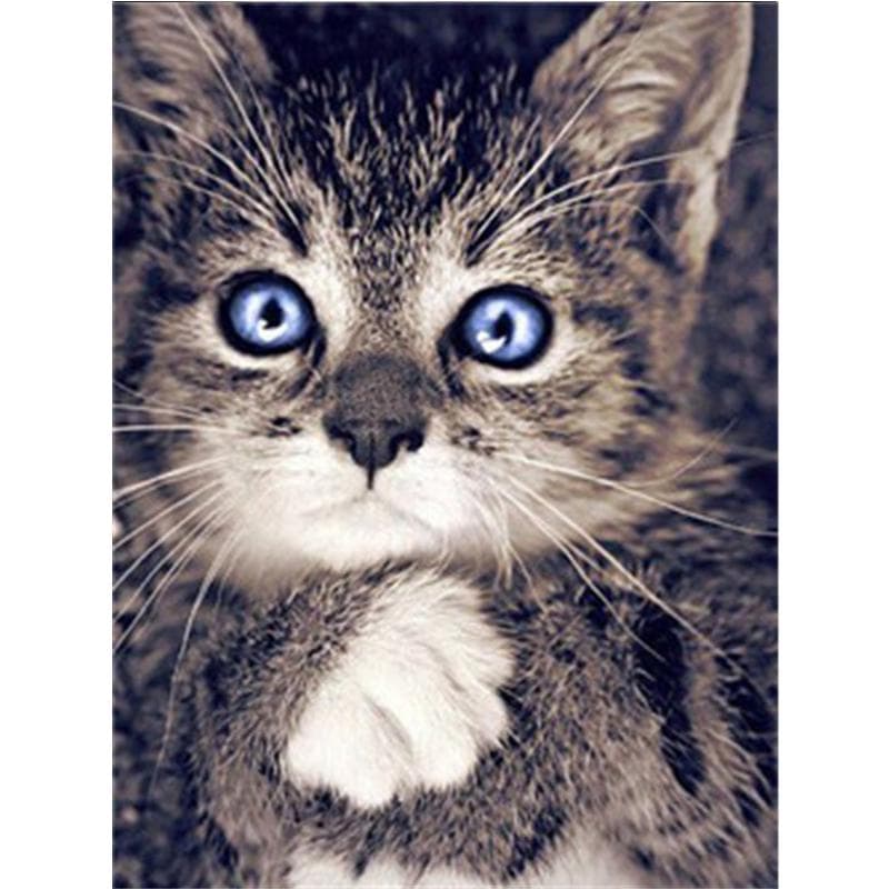 Diamond Painting Cat 5D Diy Diamond Embroidery Animal Mosaic Picture Of Rhinestone Home Decoration 20X30CM