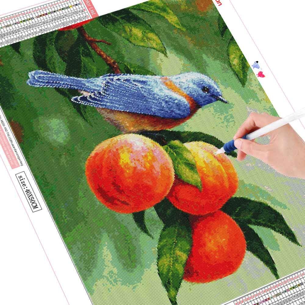 Diamond Paintnig Bird Fruit Cross Stitch Kit Embroidery Beaded Mosaic Picture Animal 20X30CM