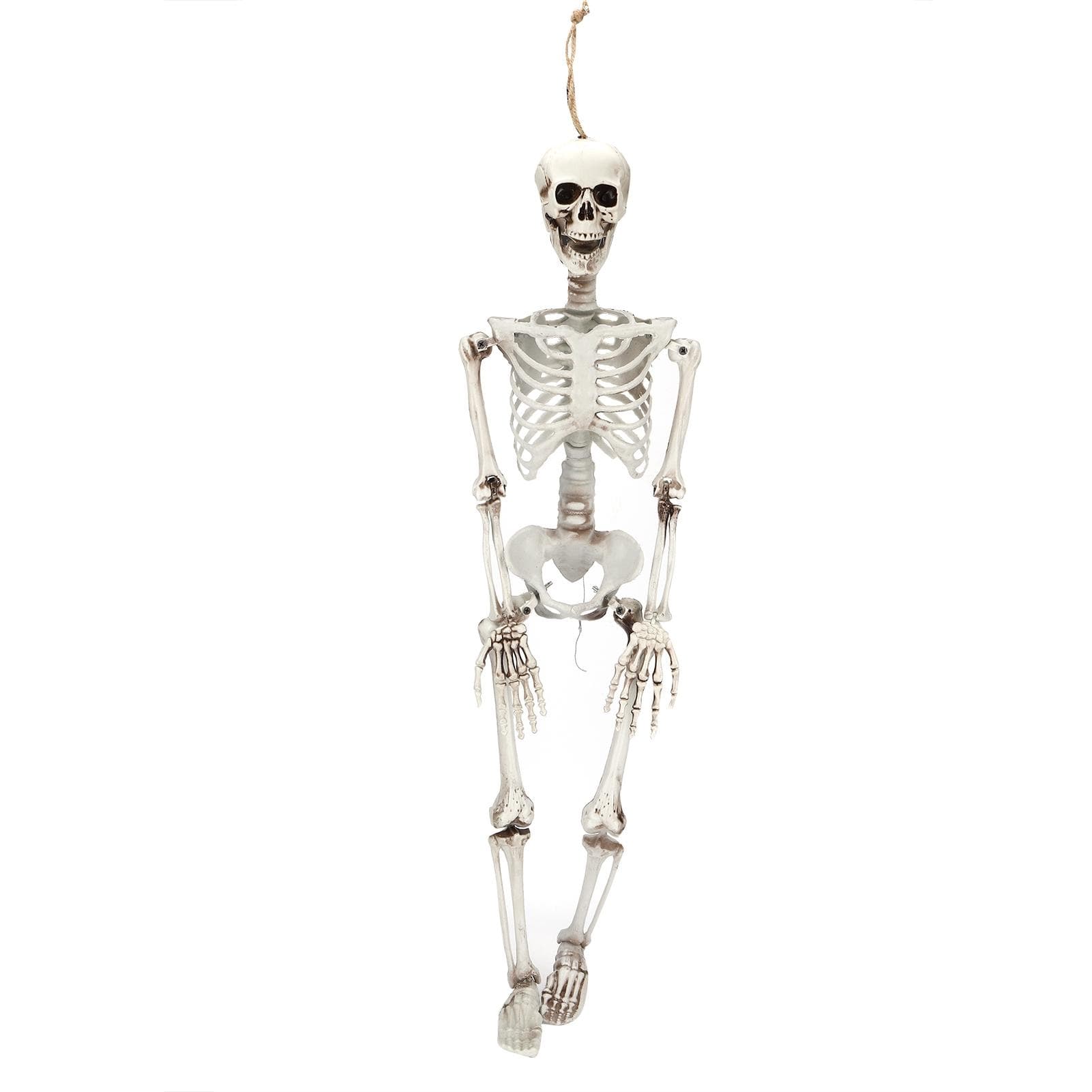 Halloween Resin Full Body Skeletons with Movable Joints for Home Costume Party Decoration PropsM Medium
