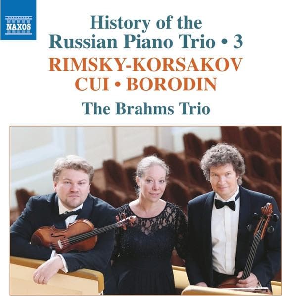 CD VARIOUS ARTISTS, THE BRAHMS TRIO; V - History of the Russian 3 8574114 Naxos 2021 Europe Classical Used