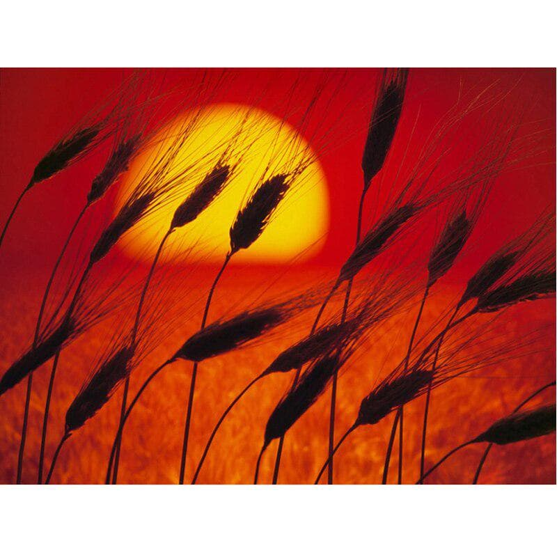 Rhinestones 5D Diamond Craft Painting DIY Diamond Embroidery Kits Beautiful Sunset Scenic Diamond 20X30CM
