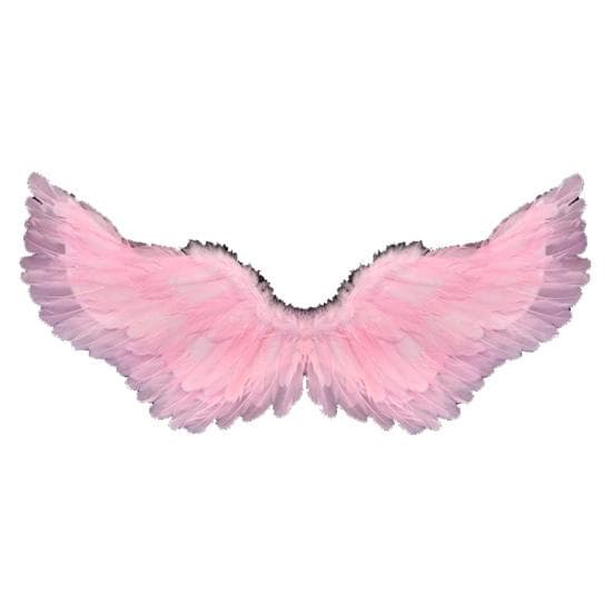 Angel Feather Wings with Elastic Straps Bright Color Lightweight Costume Cosplay Wings Photography Props