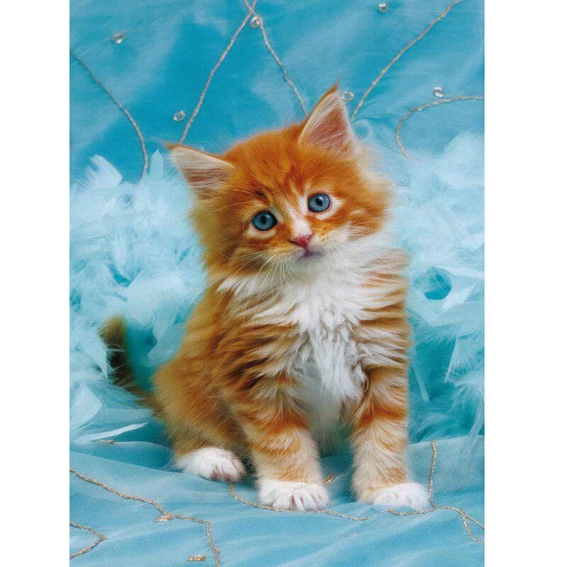 5D Diy Diamond Paintings Full Drills Mosaic Cat Embroidery Pattern Cross Stitch 20X30CM