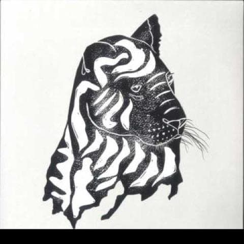 LP Record ALPHA STEPPA, AWA FALL - What A Joy (2LP) ASLP01617 Steppas UK 2023 UK Reggae, Ska & Dub