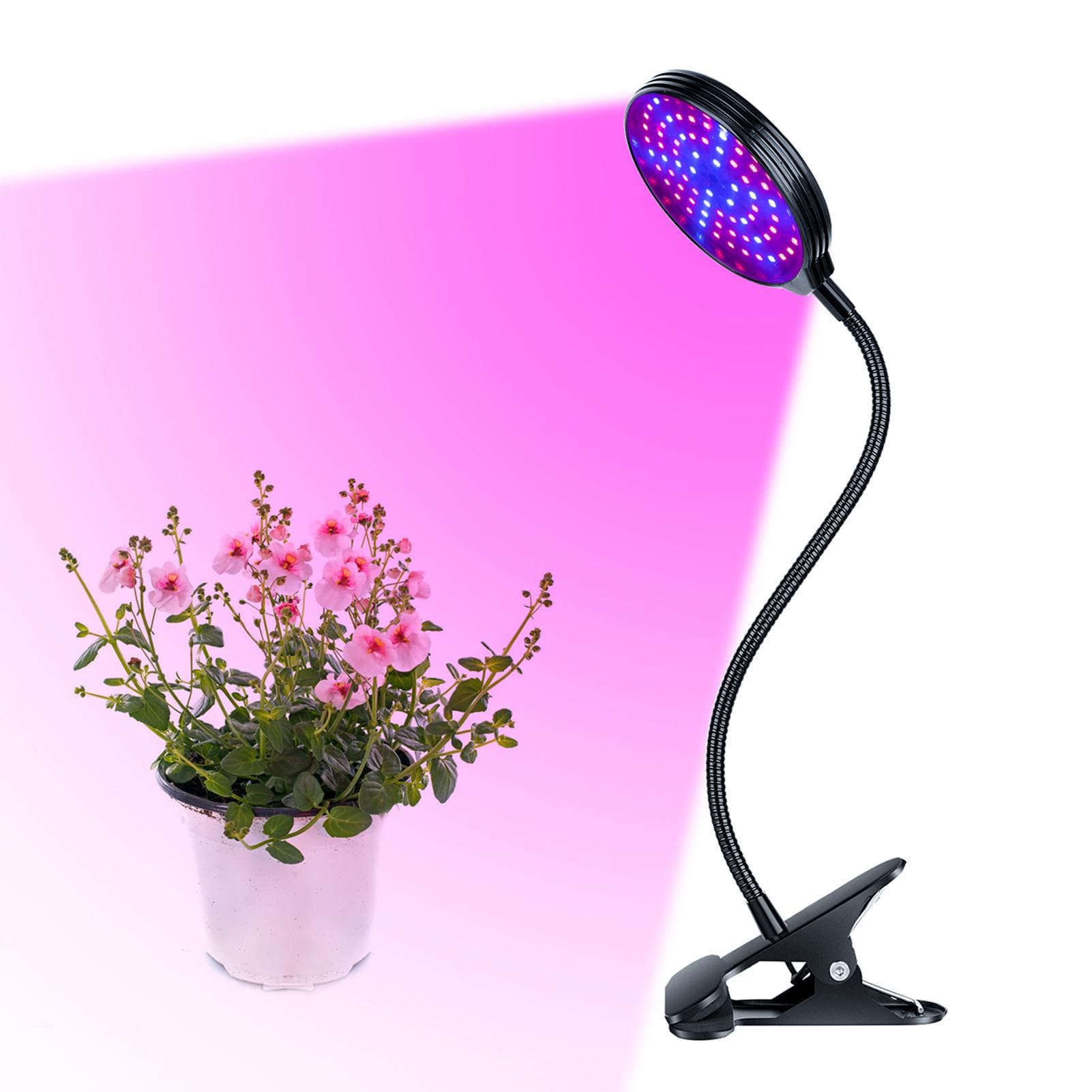 LED Grow Light for Indoor Plants 60W 4-Head Red & Blue LEDs Auto On & Off with 4/ 8/ 12H Timer 3 Single-Head