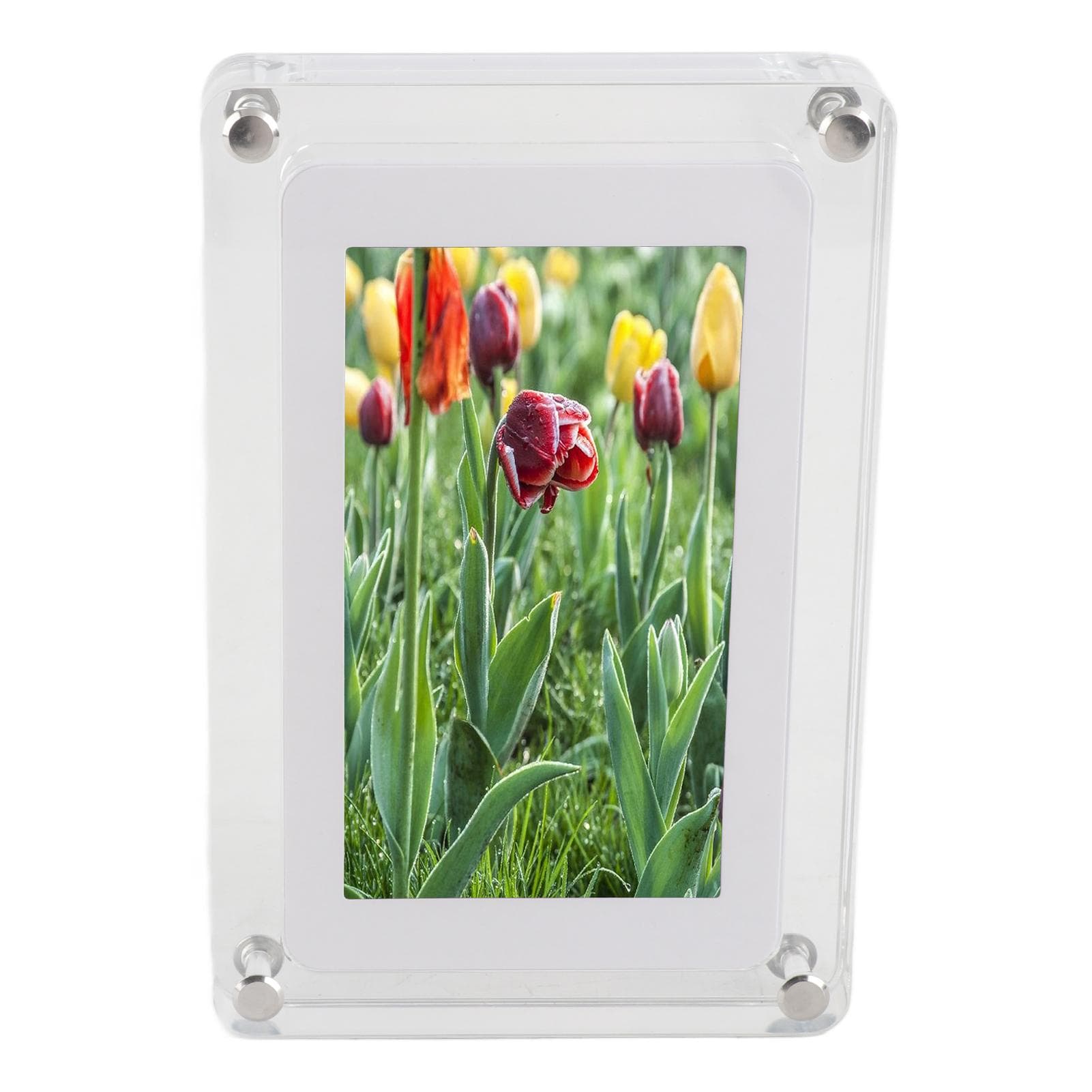 Video Picture Frame 5 in Screen Type C 4GB 1000 Mah Digital Picture Frame for Home Office Decor US Plug