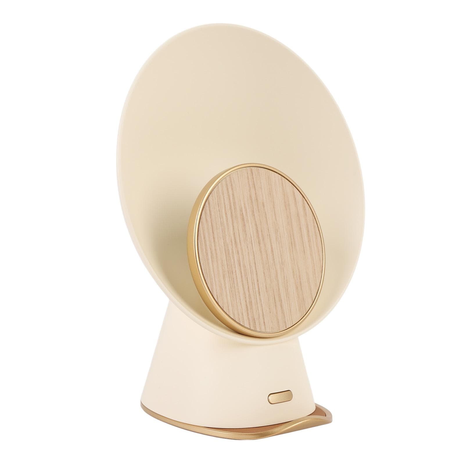 Bluetooth Speaker with Phone Charger Touch Sensor Room Decor Warm Light Alarm Clock Night Light