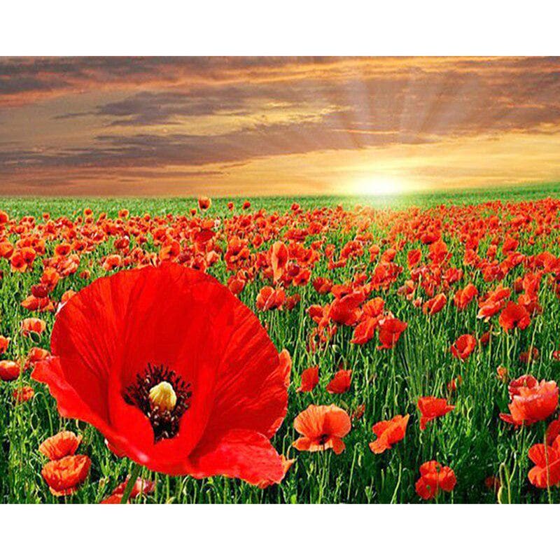 Diamond Embroidery Red Flower Field Cross Stitch DIY Diamond Painting Diamond Mosaic Rhinestones 20X30CM