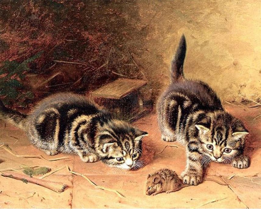 5D DIY Diamond Painting Cute Cat Diamond Embroidery Animal Digital Stickers Cross Stitch Home Decor 20X30CM