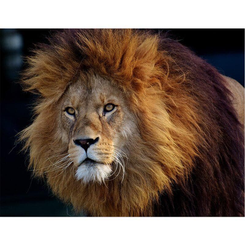 Diamond Painting Cross Stitch Kits 5D Diy Diamond Embroidery Mosaic Pattern Lion Picture Home Decor 20X30CM