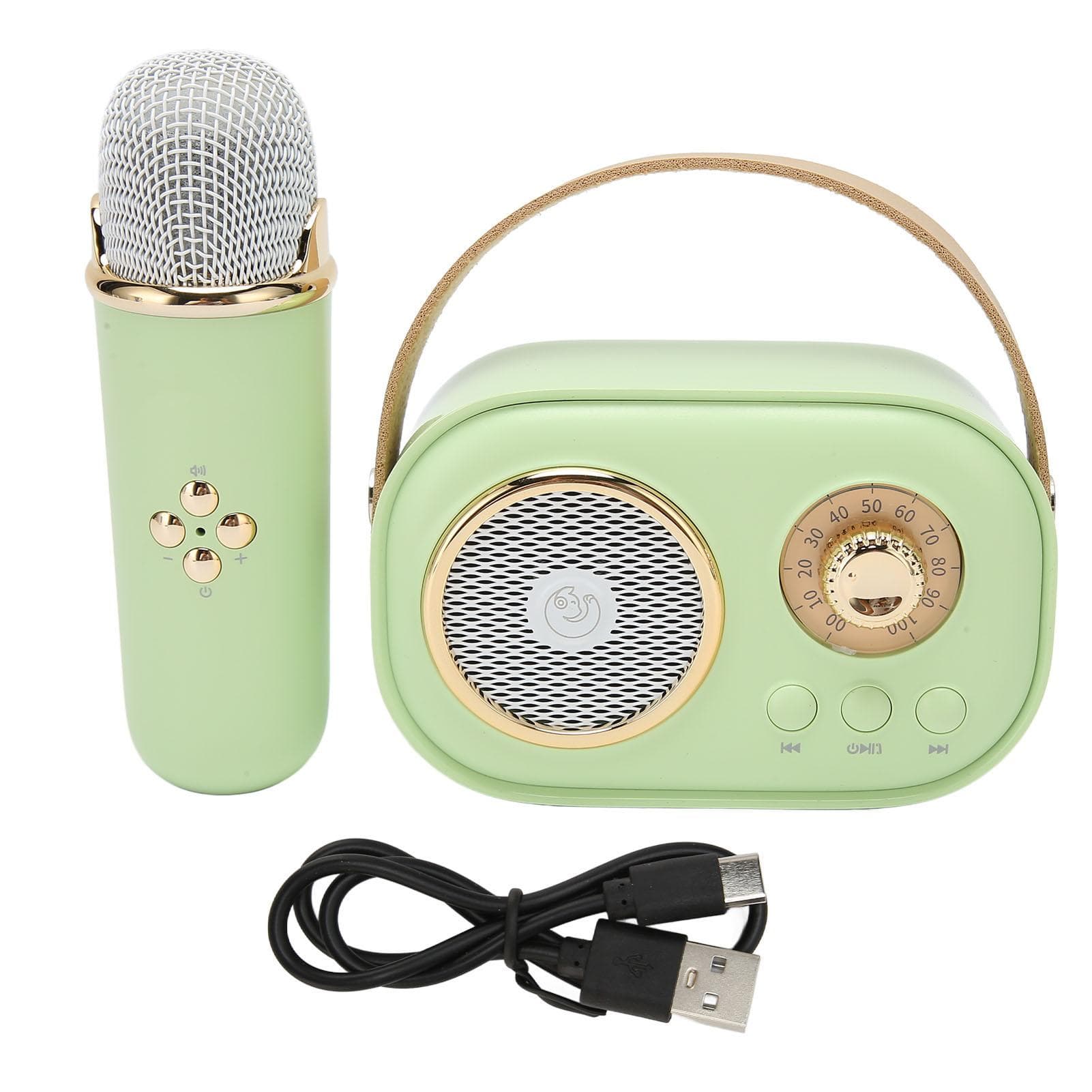 Wireless Bluetooth Speaker with Microphone Portable Rechargeable Mini Mics Speaker Set for Home