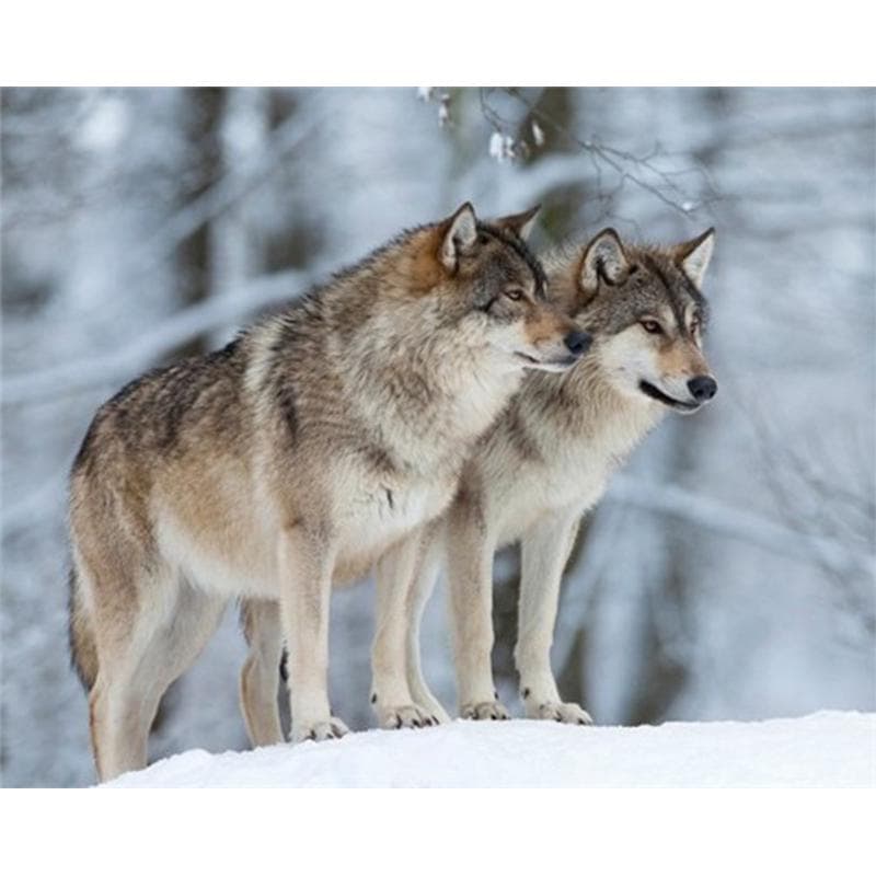 Diamond Embroidery Wolf Mosaic 5D Cross Stitch Diamond Painting DIY Sticker Decor Paintings 20X30CM