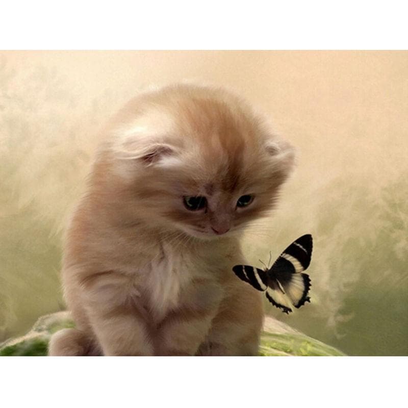 Diamond Embroidery Cat Butterfly Full Drill Lovely Animal Diamond Painting Cross Stitch Home Decor 20X30CM