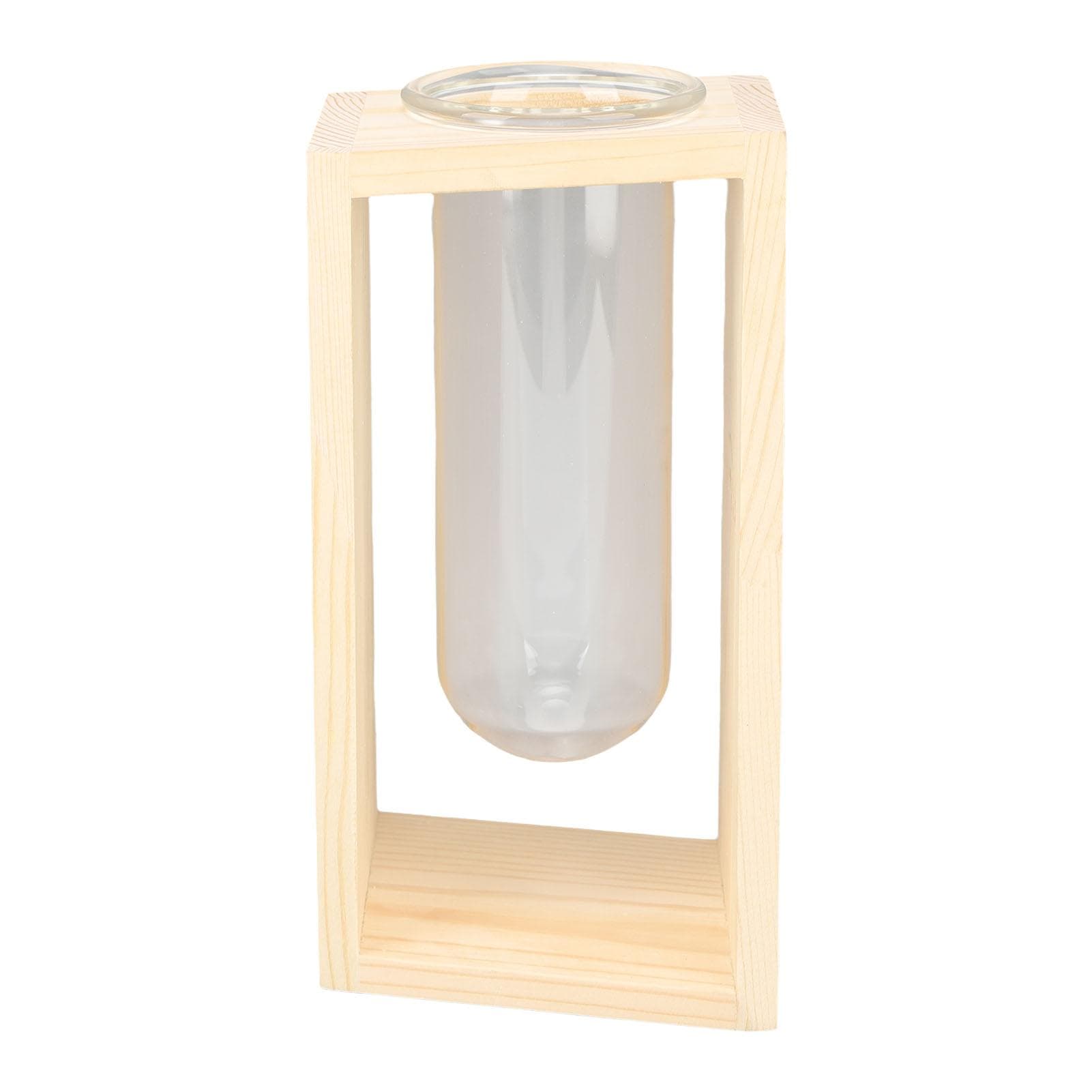 Glass Test Tube Plant Terrarium Multipurpose Innovative Hand Crafted Desktop Plant Terrarium for
