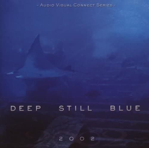 CD VARIOUS - Deep Still Blue (W/Dvd) GSR1410 Gemini Sun Reco 2002 US Dance & Electronica Used