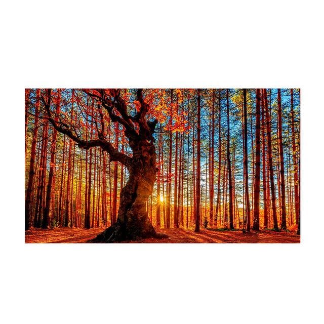 Sunrise Forest Wall Art Canvas Painting Modern Natural Landscape Posters and Prints Wall Pictures for Living Room Home Decor 30x60cm
