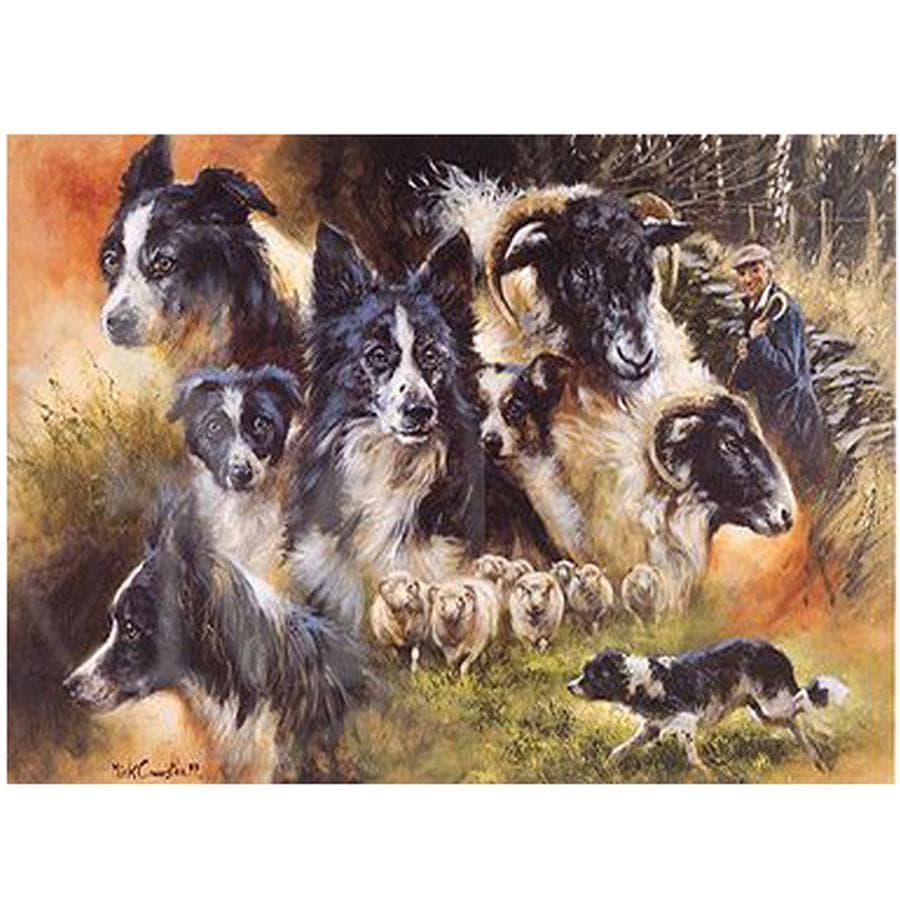 Full Round Drill Mosaic Border Collie 5D DIY Diamond Painting Pet Dog Embroidery Rhinestones 20X30CM