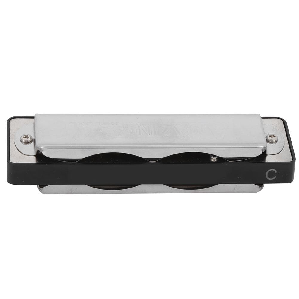 10?Hole Harmonica Blues C Key Harp Wind Musical Instrument Beginner Practice AM?20DBlack black