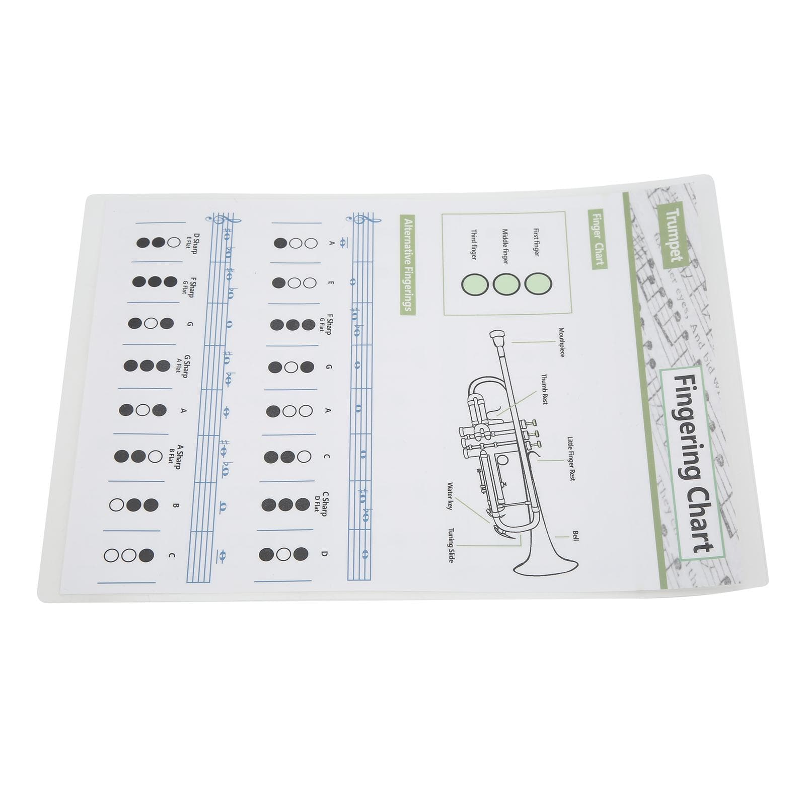 Trumpet Chord Chart Fingering Note Music Instrument Reference Guide for Home ClassSmall