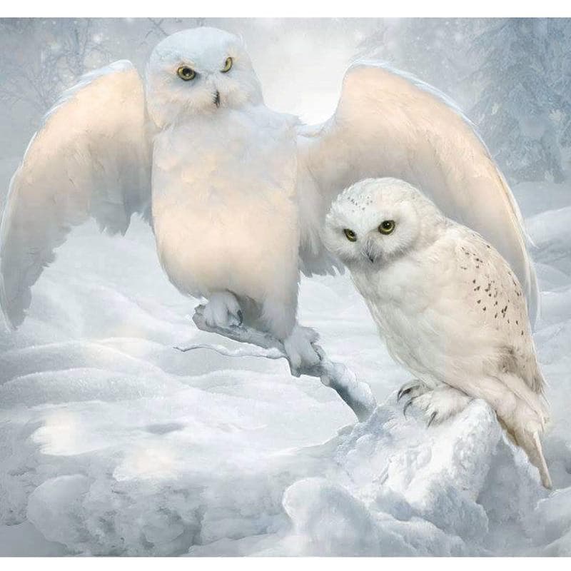 Diy Diamond Painting Needlework 5D Diamond Embroidery White Owls Wall Stickers Home Decoration 30x30CM