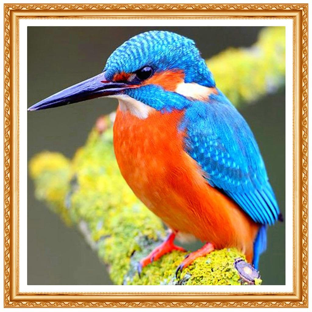 3D DIY Diamond Embroidery Kingfisher Full Round Diamond Color Bird Cross Stitch Cute Animal 20X30CM