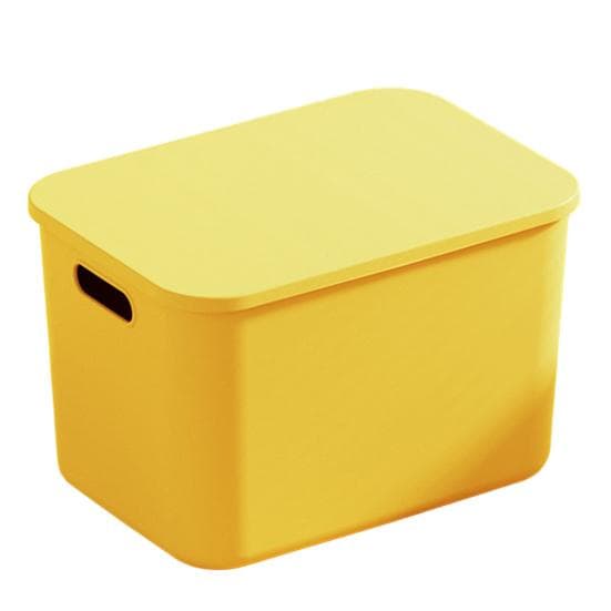 Storage Box with Lid Handle Hole Large Capacity Stackable Dustproof Makeup Toys Sundry Storage Basket Home Office Desktop Organization Container XL
