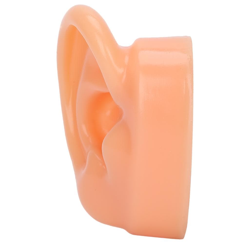 Silicone Right Ear Model Simulation Artificial Ear Display Model for Hearing Aids