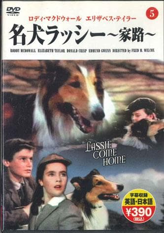 DVD MOVIE - Famous Dog Lassie PDM018 KEEP Japan Movies & DVD Used